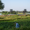 The Wind Rises Installation / Qing Studio - Exterior Photography, Garden